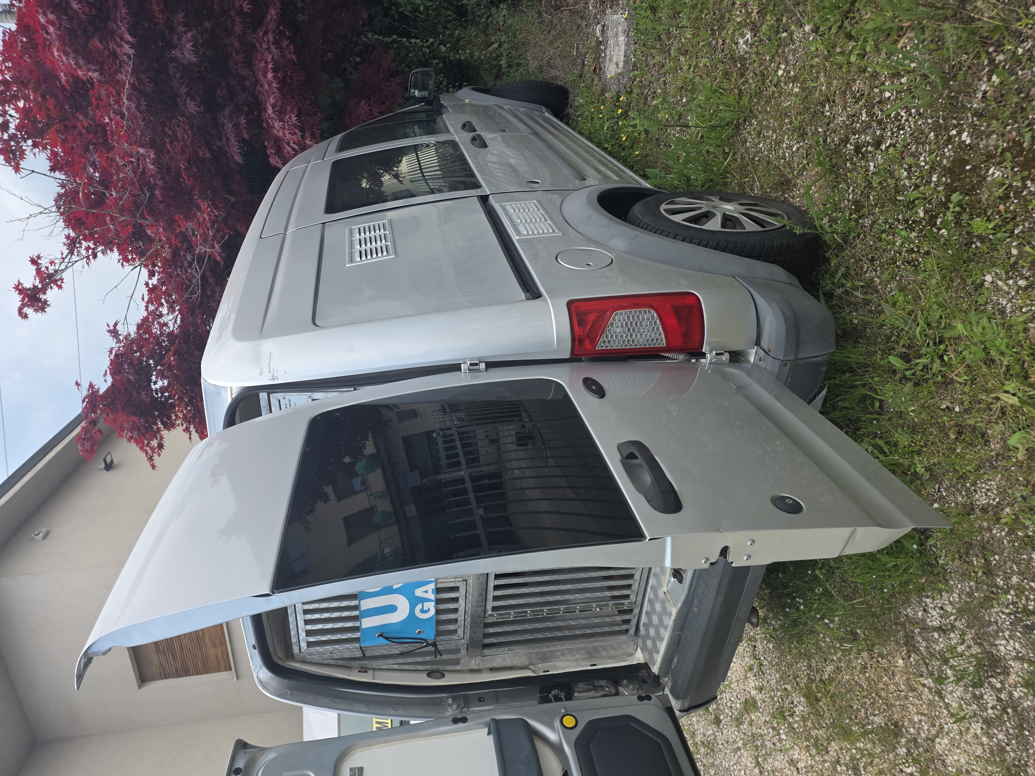 Ford Tourneo 1700 td  Trasporto Cani